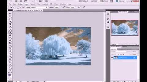 Editing Infrared Photos with a DNG Profile Editor, Lightroom, and Photoshop