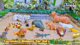 Carnivore Animal Adventure: Muddy Mishap! Fun Learning for Kids | Kidiez World TV