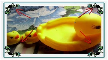 How to add frame on video in VSDC Free Video Editor