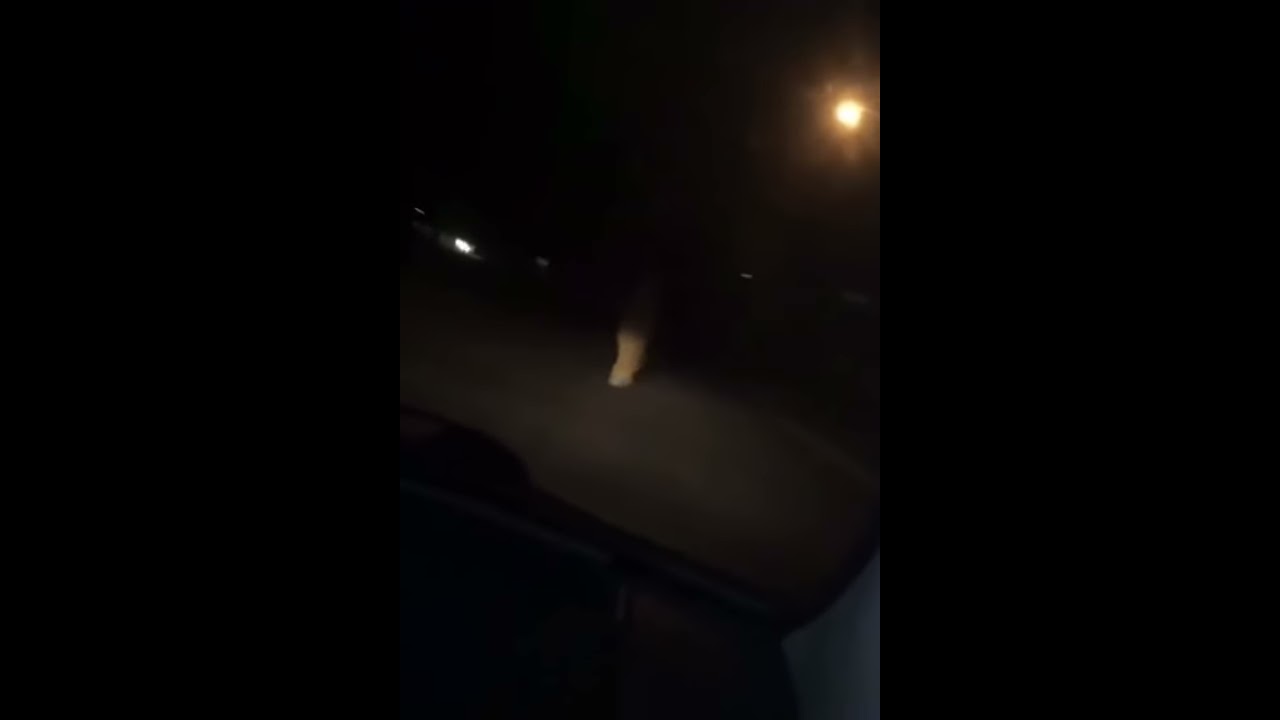 Clown Sighted With A Baseball Bat In Road Chicago Illinois USA 