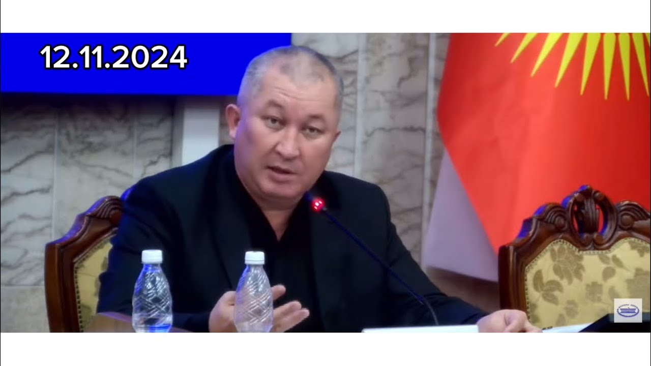 12.11.2024 #ЗамирбекМамасадыков