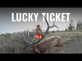 LUCKY TICKET - Utah Rifle Elk Hunt