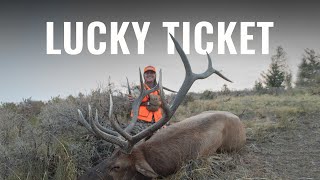 LUCKY TICKET  Utah Rifle Elk Hunt