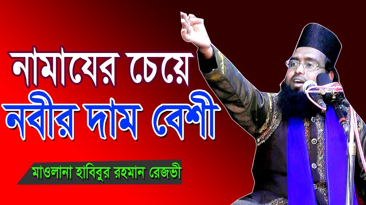 মাওলানা হাবিবুর রহমান রেজভী ।। 01715261408 ।। Mawlana Habibur Rahman Rezvi ||  By Biplob Media