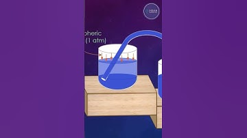 how siphon works  #science