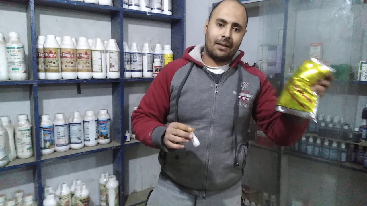 الحل الامثل للقضاء علي البراغيث والقمل والقراد في الماعز والعجول والخرفان