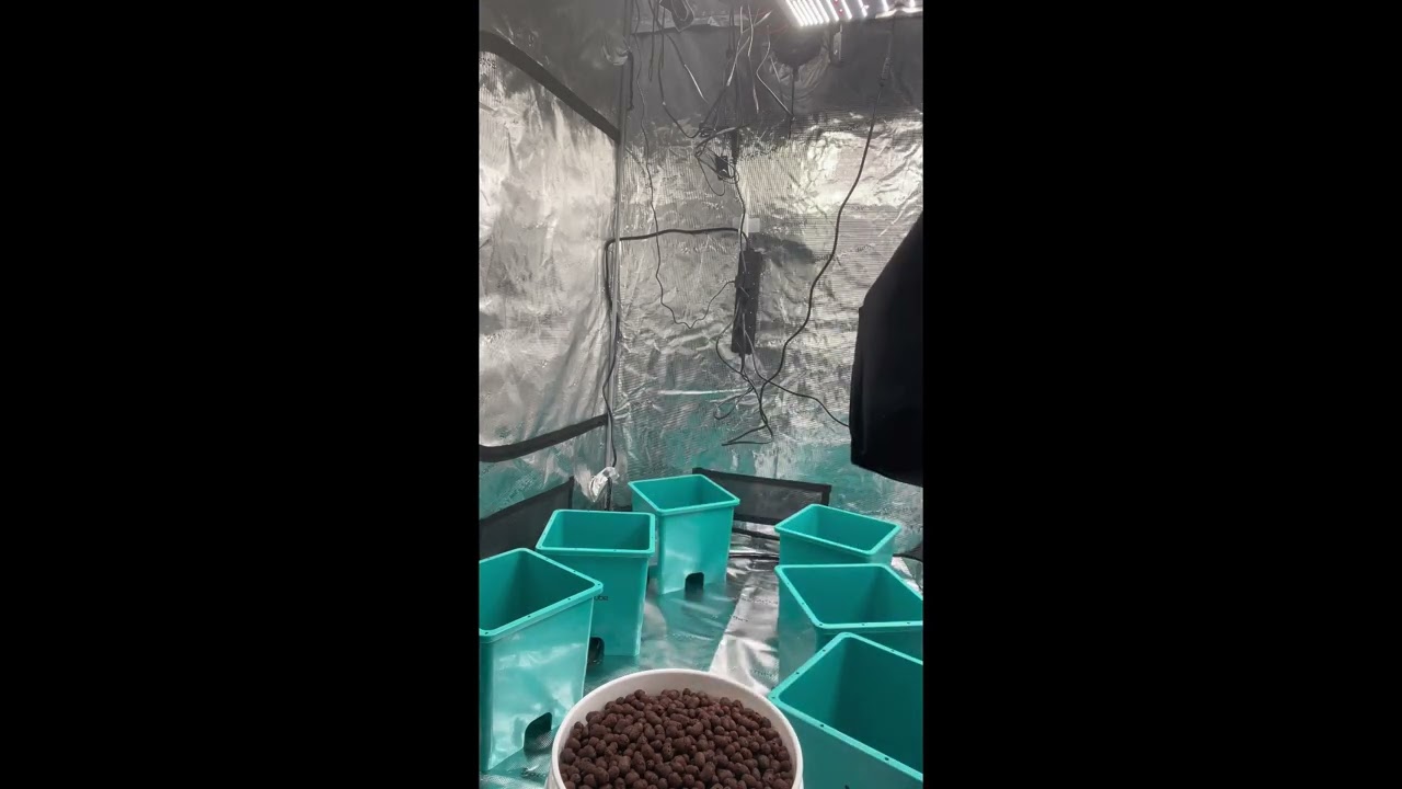 Setting Up GrowAce AirCube Ebb & Flow System | Real-Time Hydroponic Build & First Look 