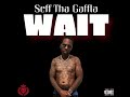 Seff Tha Gaffla WAIT mp3