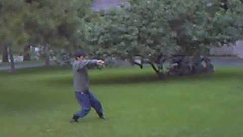 Master Han YanWu - BaguaZhang (8 basic palms)