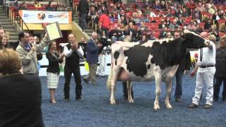 2015 Wisconsin Cow of the Year Presentation
