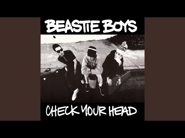 beastie boys - professor booty