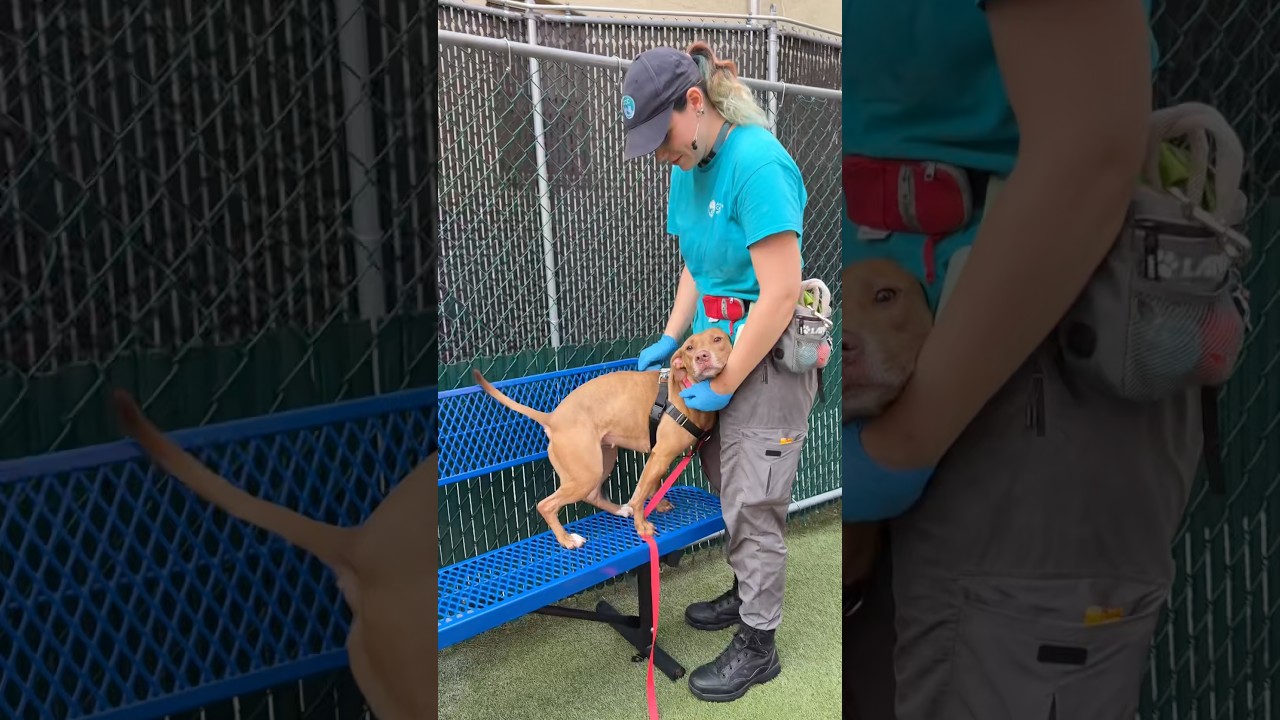 Mama Coco 219456💛urgent placement needed - YouTube