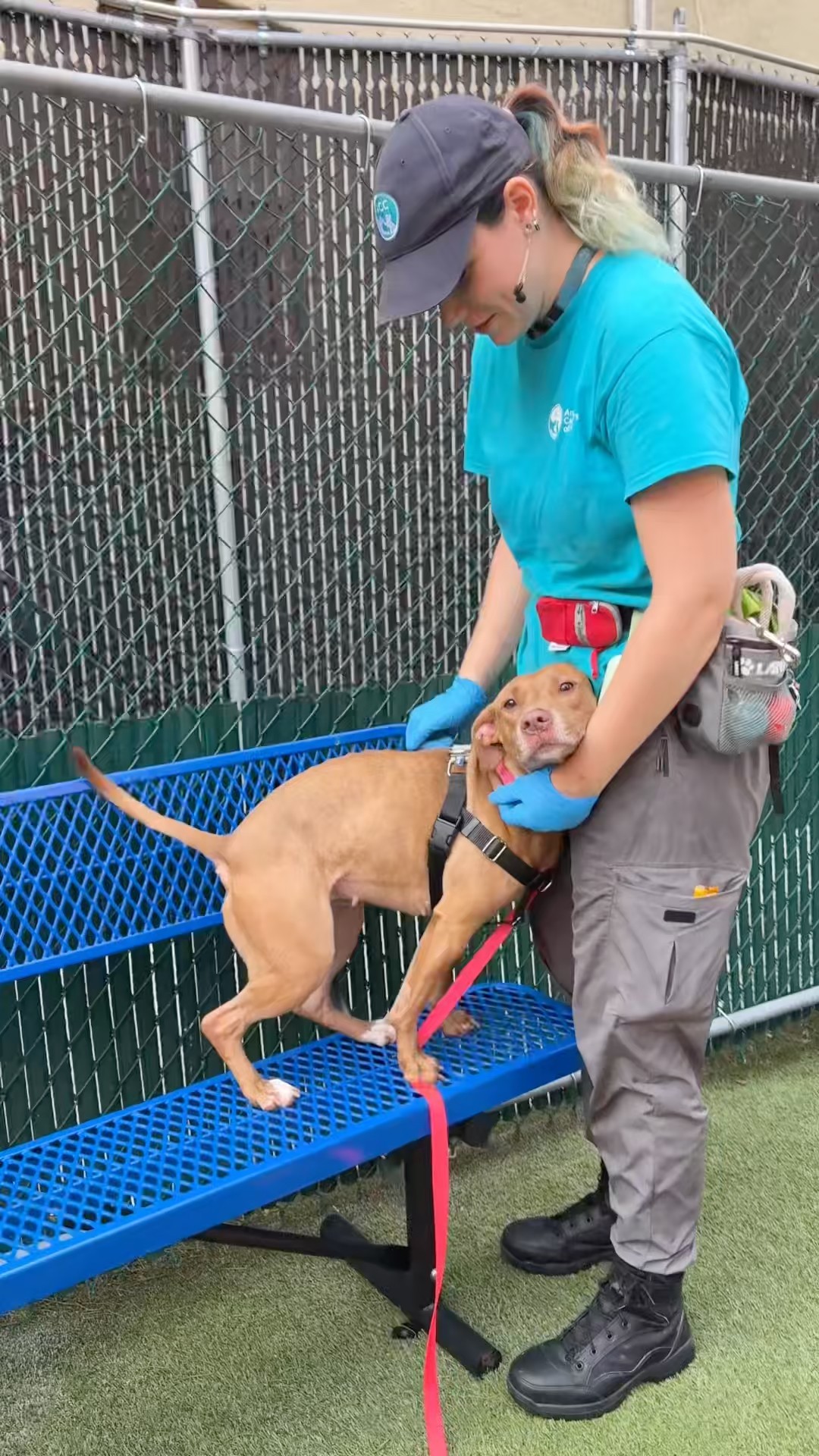 Mama Coco 219456💛urgent placement needed - YouTube