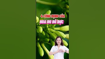 4 Công Dụng Tuyệt Vời Của Hoa Đu Đủ Đực #dsdaiminh #health #shorts #dinhduong