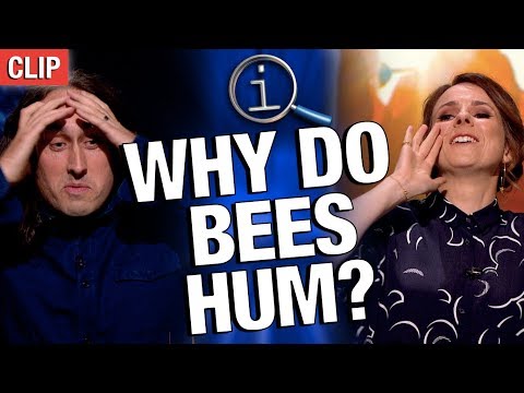 QI | Why Do Bees Hum?