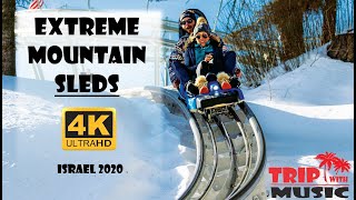 Extreme Mountain Sleds. Israel travel ⛰️ Путишествие по Израилю. Экстрим спуск на санях