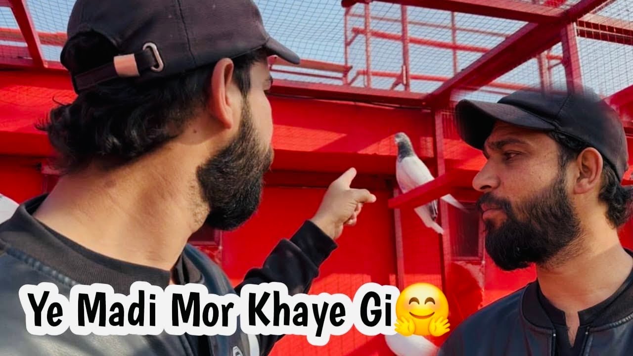 Is Madi Nay Kamal Kar Diya 🫣