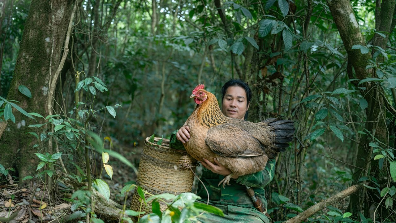Effective techniques for trapping wild chickens, how to build a chicken coop using bamboo - Fishing