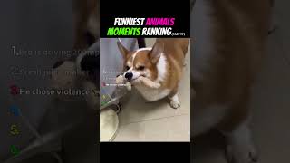 1 Star Review Error 404   Pet logic not found 🤖 (FAMR 77) #shorts