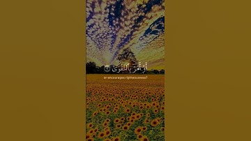 أرأيت الذي ينهى عبدا إذا صلى | تلاوة باكية المنشاوي من سورة العلق برواية ورش عن نافع ثم خلاد عن حمزة