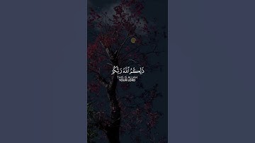 ذالكم الله ربكم خالق كل شيئ #القرآن_الكريم #quran #راحة_نفسية #تلاوات #آيات #تجويد