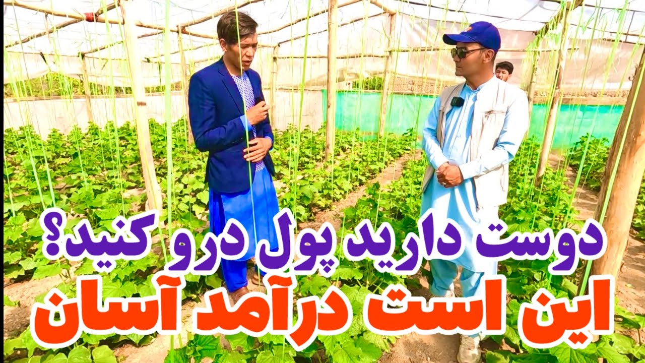 دیگر برای پول مسافرت نکنید🙏!جوانان کار آفرین جاغوری! 🙏😍 🌸❤️