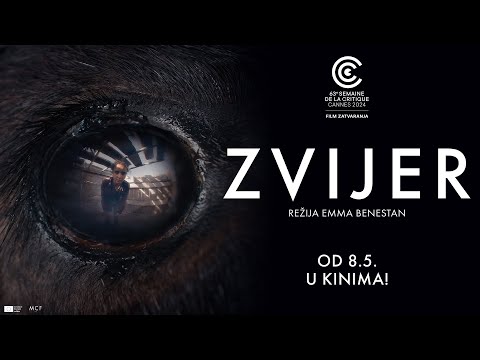 Video - Zvijer