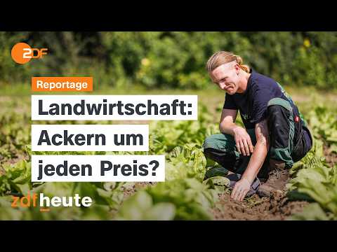 Alltag junger Bauern – hat Landwirtschaft noch Zukunft? | ZDF.Reportage