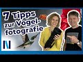 Vogelfotografie: 7 Profitipps um Vögel perfekt zu fotografieren