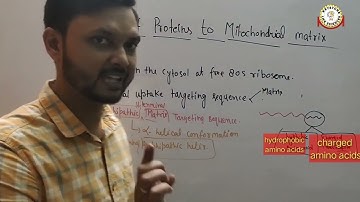 Targeting of the Proteins to the Mitochondrial Matrix| Keystone Life Sciences| For CSIR-NET ICMR DBT