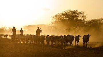 Atlas of Environmental Migration