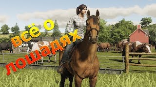 Всё о лошадях Farming Simulator 19