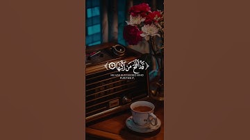 هيثم الدخين ـ سورة الشمس | #قرآن #quran