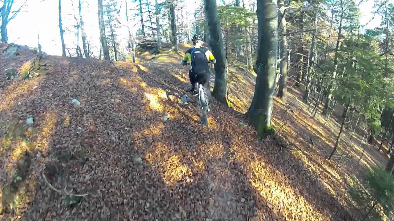 Wangen an der Aare - Balmberg - Röti und zurück