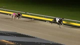 SLE SUN 17 DEC 23 R11