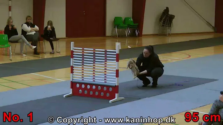 Danish Championships 2014 in Rabbit Hopping - High Jump - TOP 10