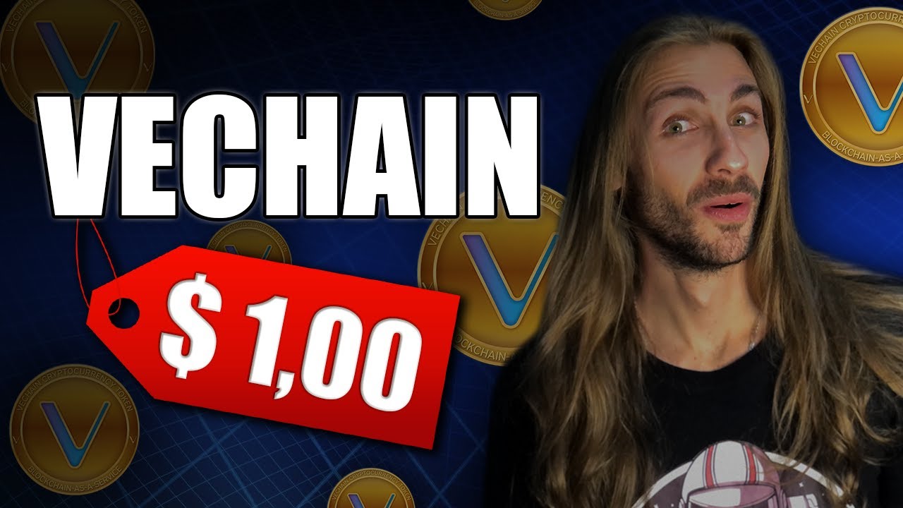 Por Que VECHAIN é a MELHOR CRIPTOMOEDA para o longo prazo?