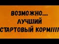 Как получить науплий? Инкубация яиц артемии.