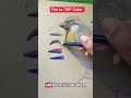 How to draw with color when drawing a bird to create 3D effects #drawingtutorials #colortheory