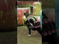 Call your Shot! #paintball #outdoors #sports