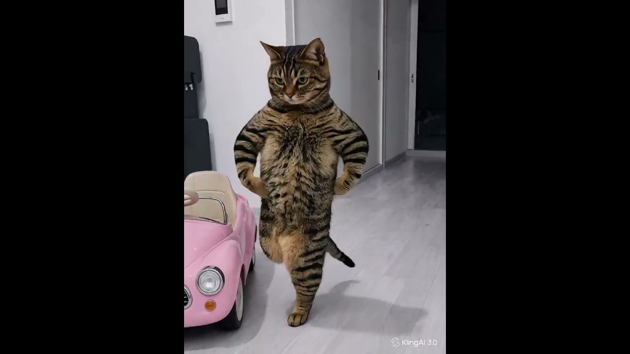 Crazy Cat 🐈😺#shorts - YouTube