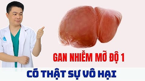 Gan Nhiễm Mỡ Độ 1 Có Thật Sự 