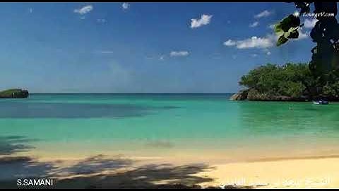 الشيخ سعد بن سعيد الغامدي ، ولد بالدمام عام 1967 ,حافظ للقرآن ، آيات من سورة الزخرف