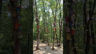 #youtube #ormanya #gamonya#keşfet