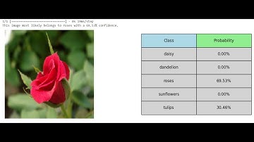 Flowers classification based on CNN | Colab for flowers image classification end to end project