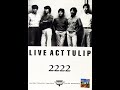 チューリップ-Live Act TULIP 2222_愛は戻れない