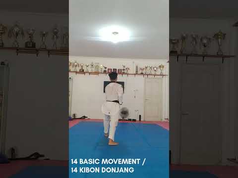 14 BASIC MOVEMENT