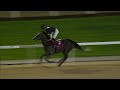 RM 33 Al Rayyan Race 2-  Al Mamoura Cup