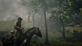 RDR2. Chapter VI: Beaver Hollow - 9