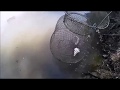 Рыбалка на Кубани. "Федоровский гидроузел".